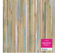 Линолеум Tarkett Discovery  Wasabi 2